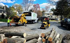Best Tree Health Inspection  in Big Le, AK