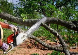 Best Lot and Land Clearing  in Big Le, AK